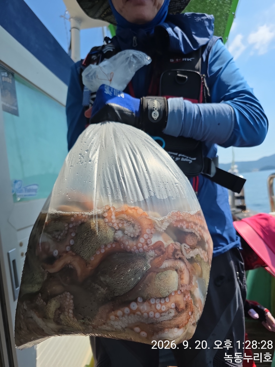 9월 20일 문어 선상낚시 조황 현장 사진 7