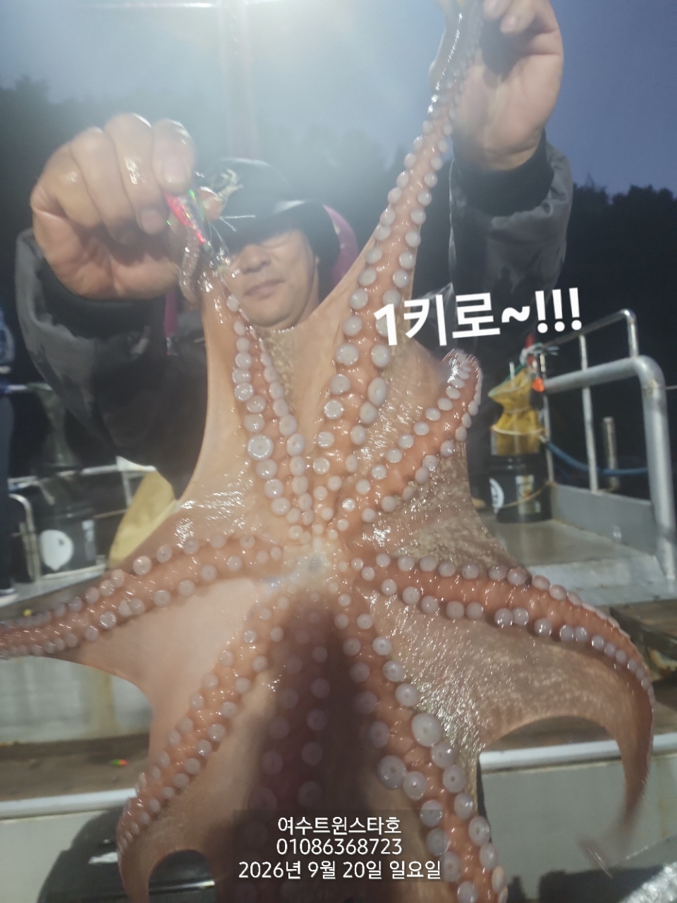 9월 25일 여수 문어 선상낚시 조황 현장 사진 55