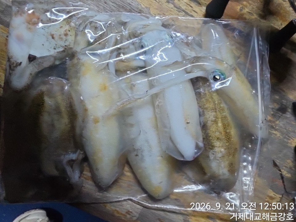 ����ڰ� �ø� �̹���