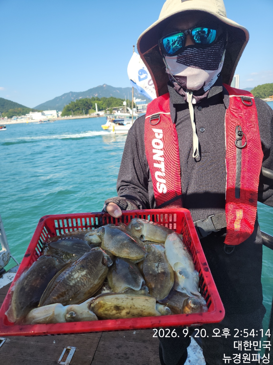 9월 20일 삼천포 갑오징어 선상낚시 조황 현장 사진 4