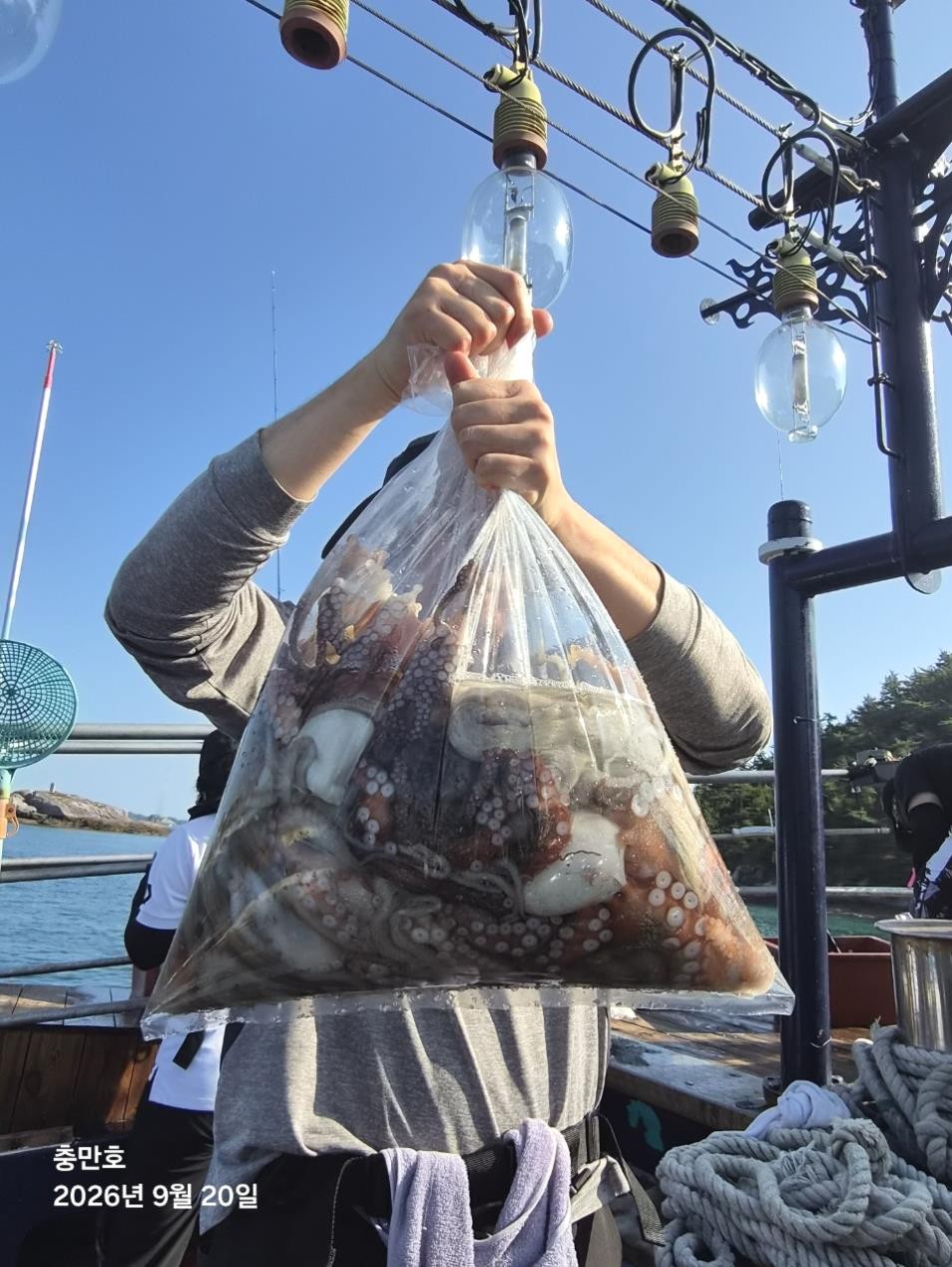 9월 20일 갑오징어 선상낚시 조황 현장 사진 2