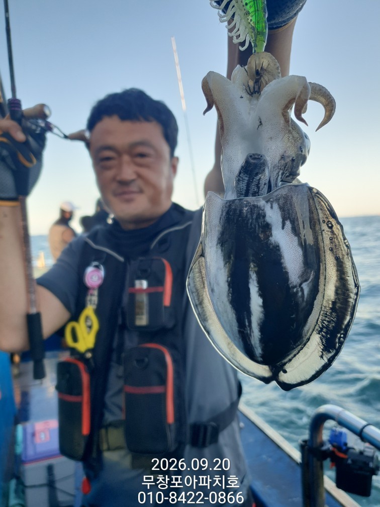 9월 20일 포항 주꾸미 선상낚시 조황 현장 사진 23