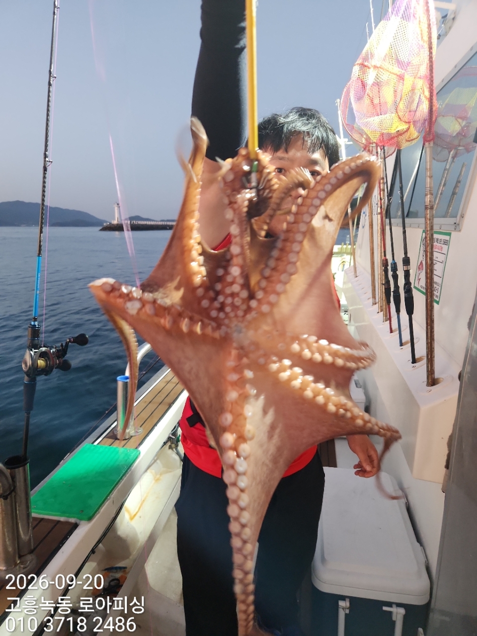 9월 20일 고흥 갑오징어 선상낚시 조황 현장 사진 17