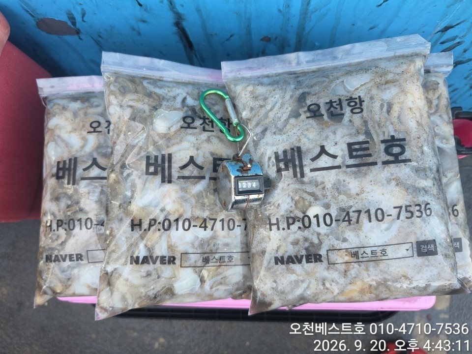 9월 19일 갑오징어 선상낚시 조황 현장 사진 10