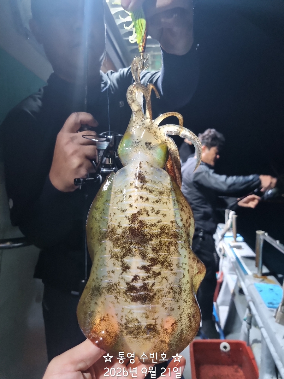 9월 21일 무늬오징어 선상낚시 조황 현장 사진 2