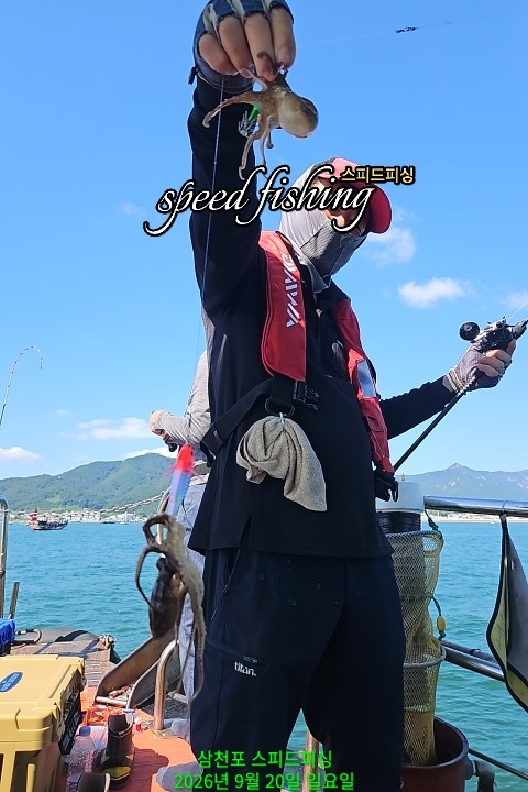 9월 20일 삼천포 주꾸미 선상낚시 조황 현장 사진 4