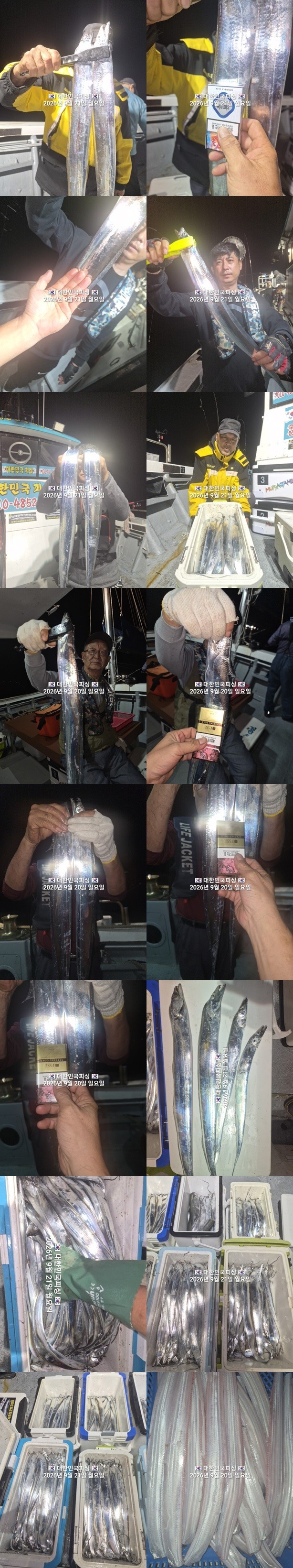 9월 21일 진해 갈치 선상낚시 조황 현장 사진 5