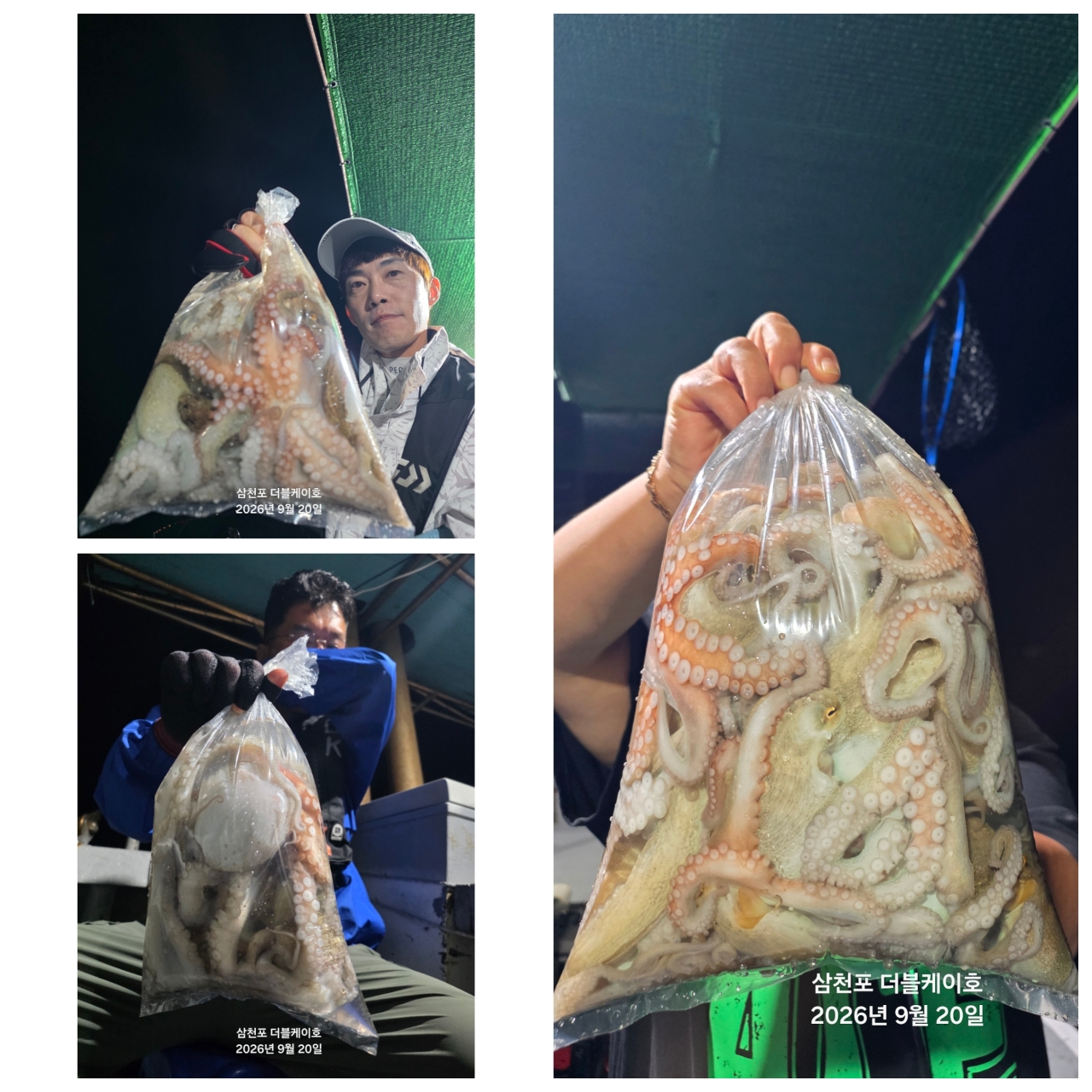 9월 21일 삼천포 문어 선상낚시 조황 현장 사진 10