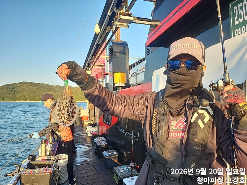 9월 20일 인천 갑오징어 선상낚시 조황 현장 사진 15