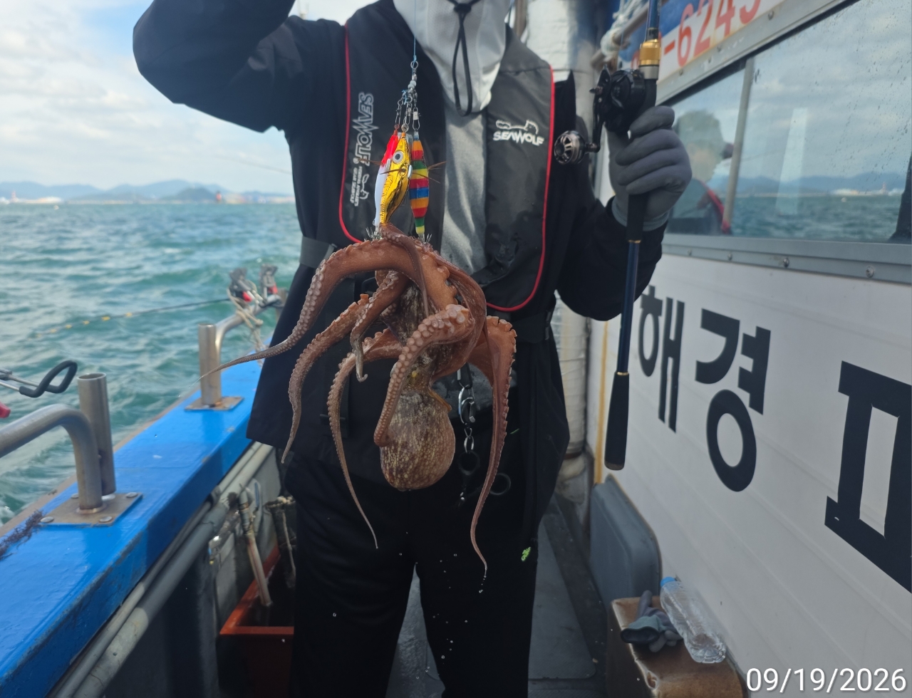 9월 20일 남해 문어 선상낚시 조황 현장 사진 4