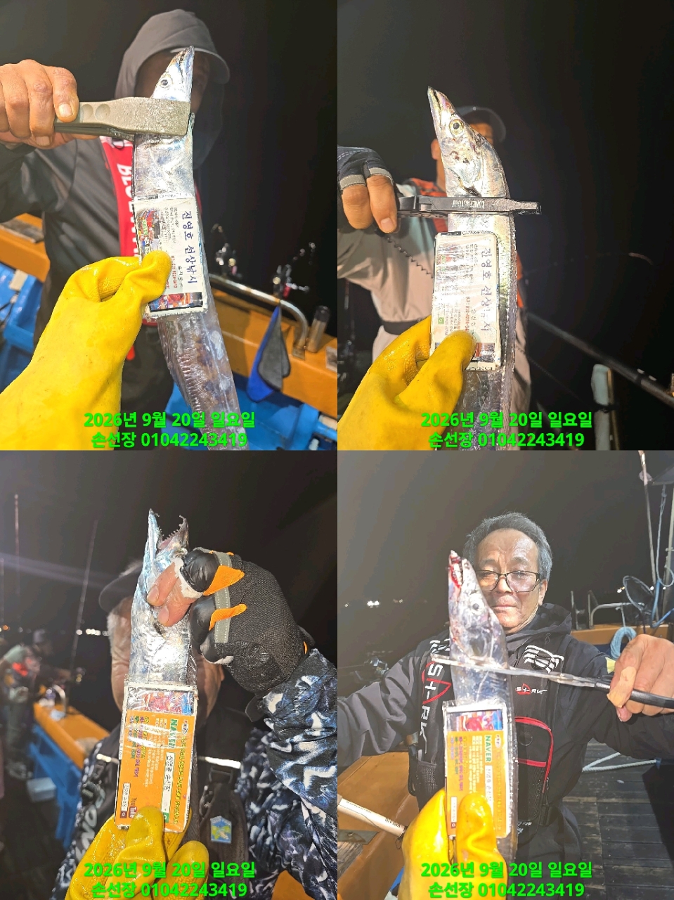 9월 21일 마산 갈치 선상낚시 조황 현장 사진 3