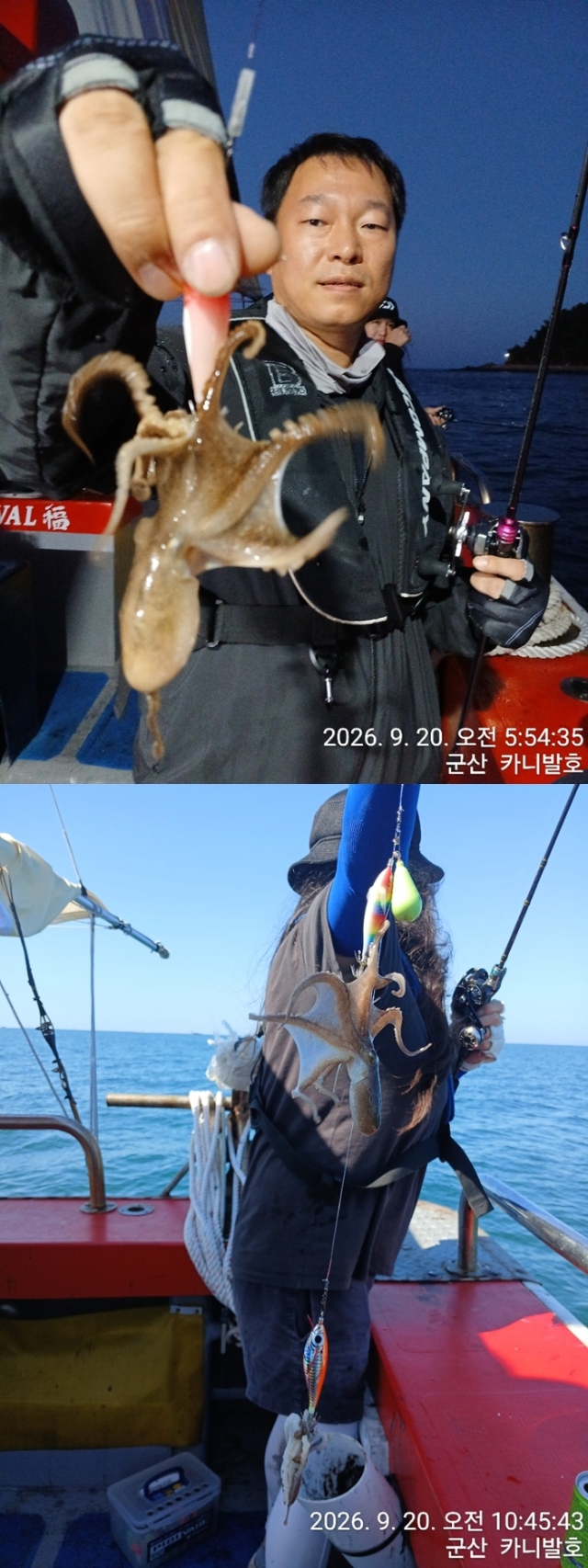 9월 21일 군산 갑오징어 선상낚시 조황 현장 사진 7