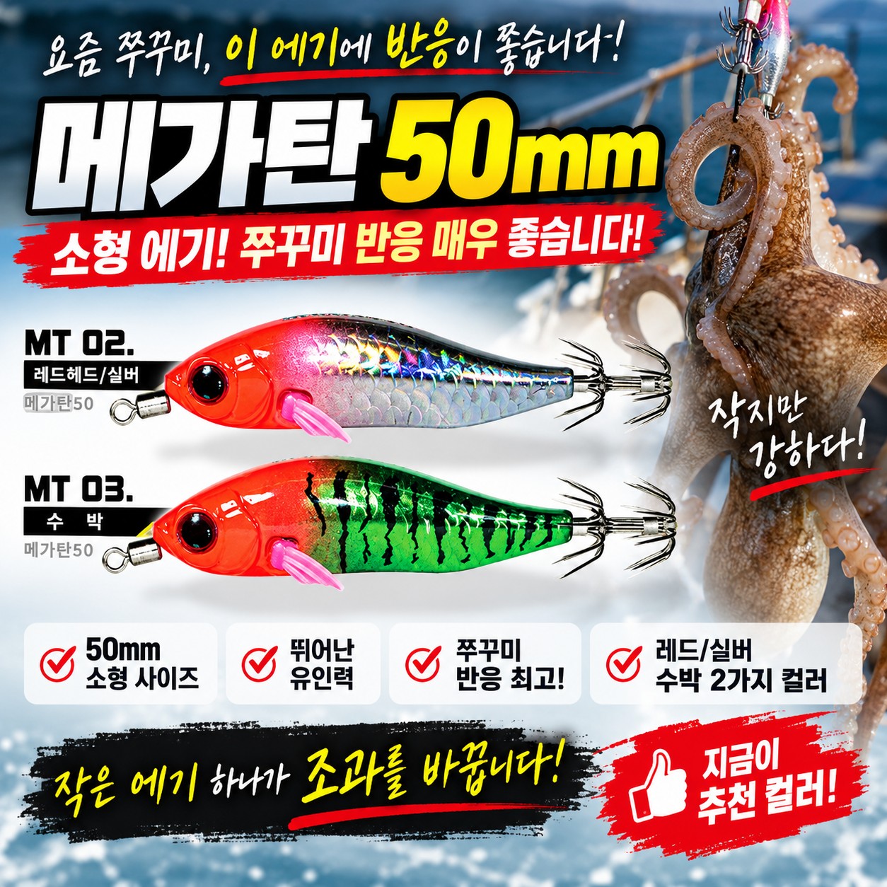 9월 20일 삼천포 갑오징어낚시 초보 조사님 출조 사진 28