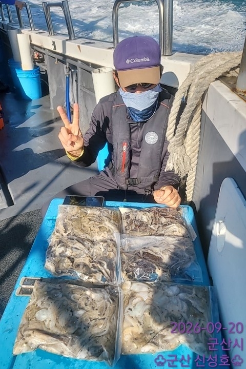9월 20일 군산 주꾸미 선상낚시 조황 현장 사진 13