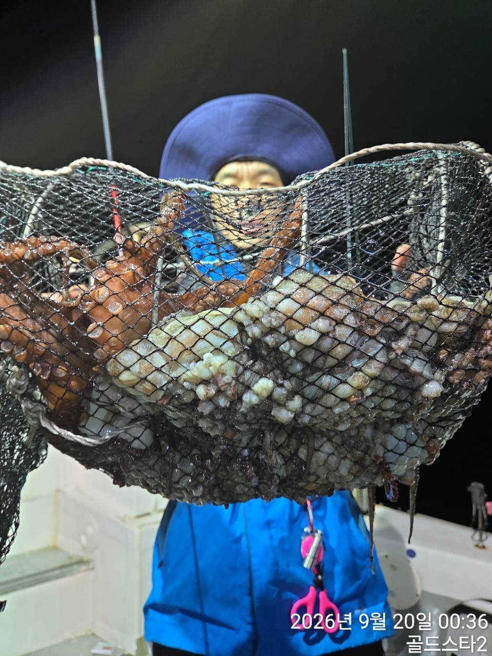 9월 19일 문어 선상낚시 조황 현장 사진 4
