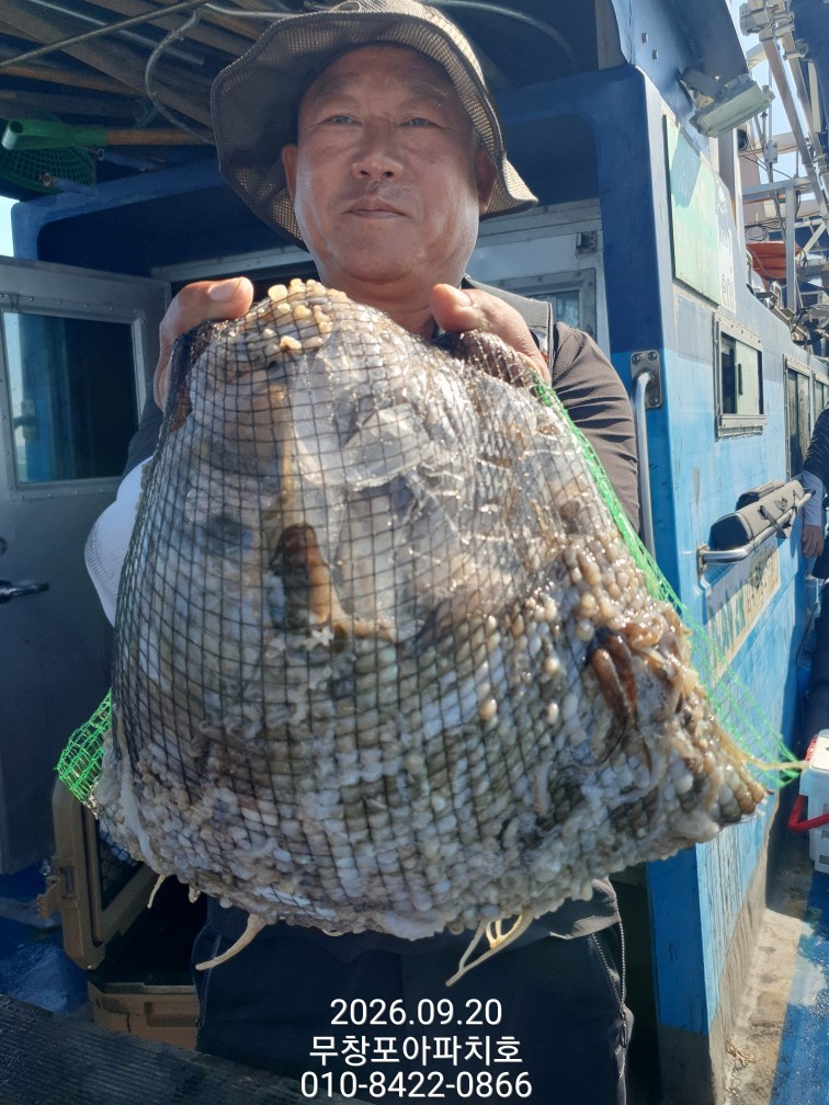 9월 20일 포항 주꾸미 선상낚시 조황 현장 사진 8