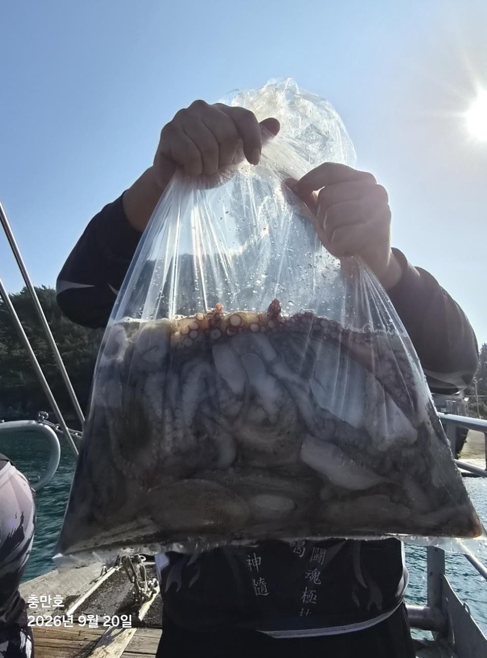9월 20일 갑오징어 선상낚시 조황 현장 사진 1