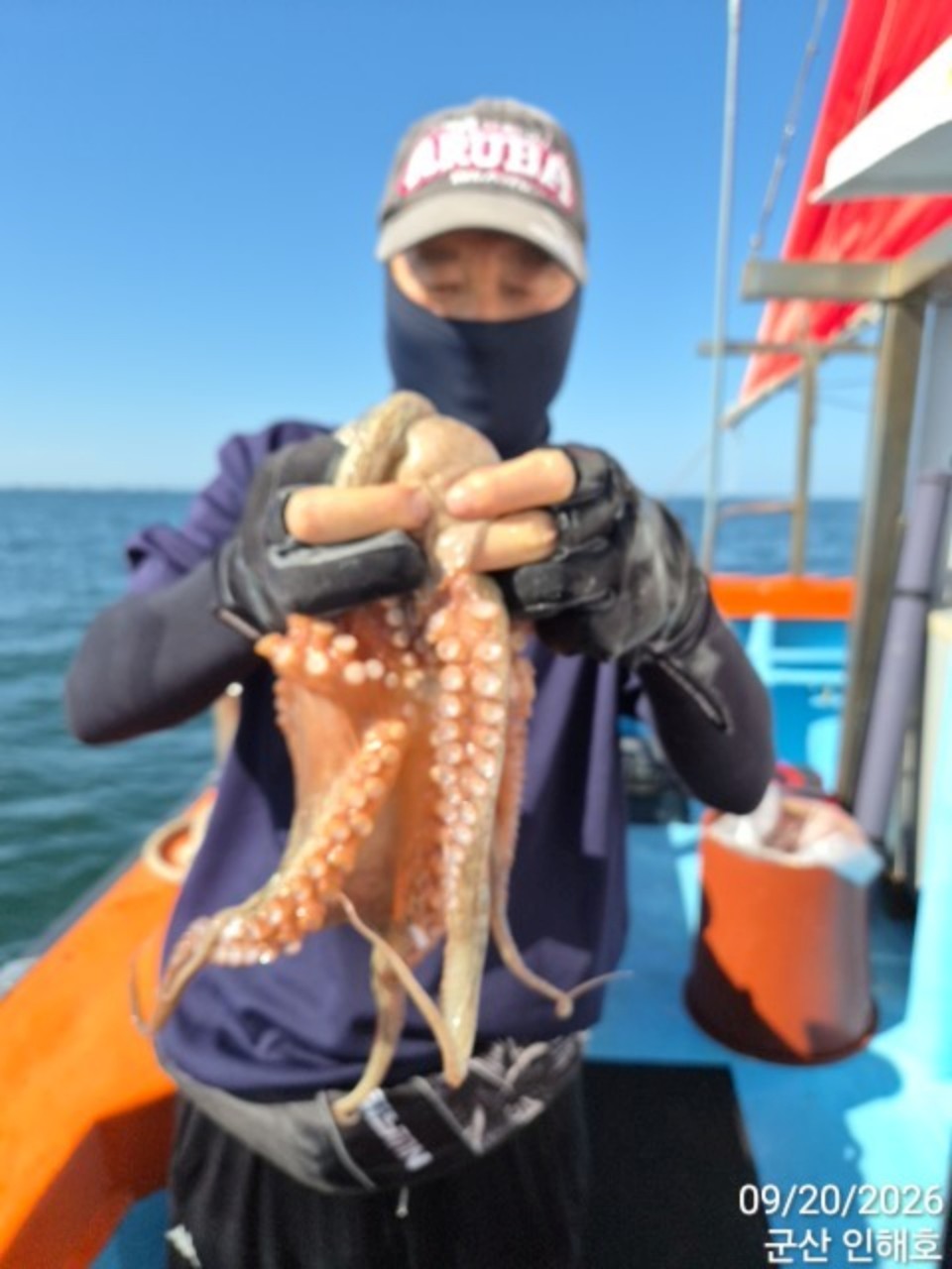 9월 20일 군산 갑오징어 선상낚시 조황 현장 사진 9