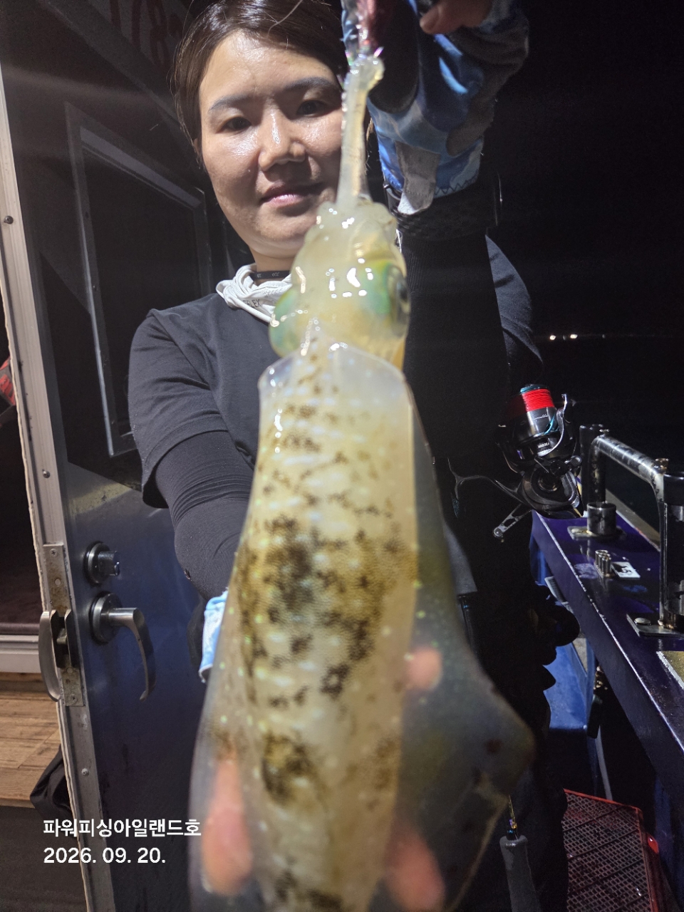 9월 20일 통영 무늬오징어 선상낚시 조황 현장 사진 8