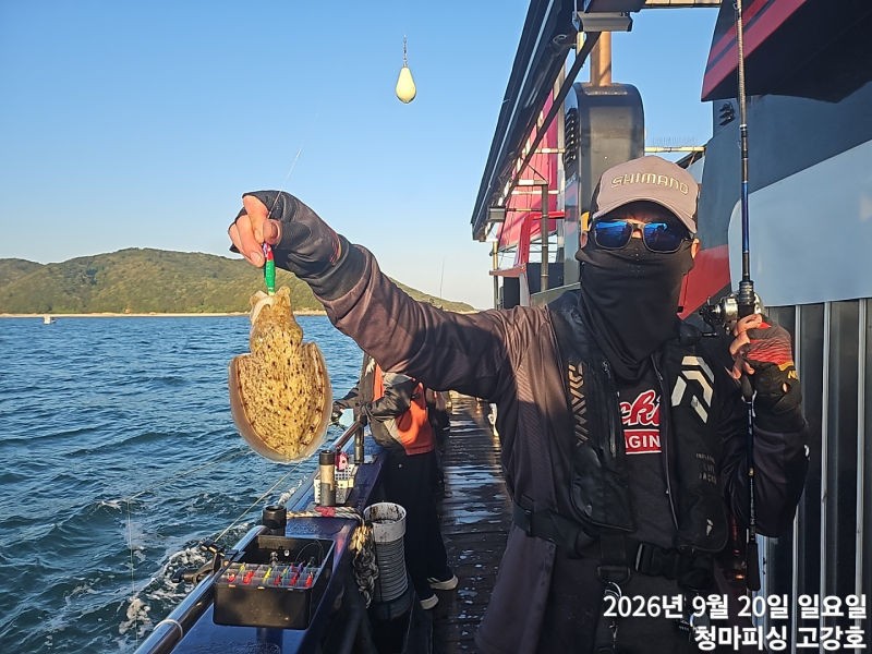 9월 20일 인천 갑오징어 선상낚시 조황 현장 사진 17