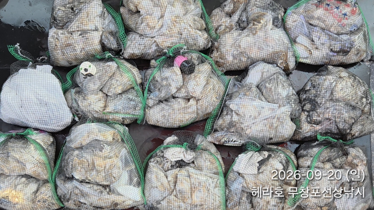 9월 20일 주꾸미 선상낚시 조황 현장 사진 9