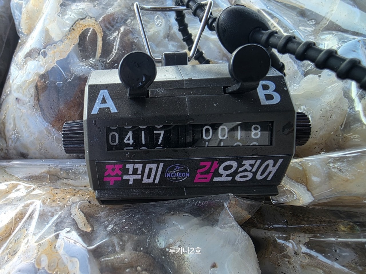 사용자가 올린 이미지