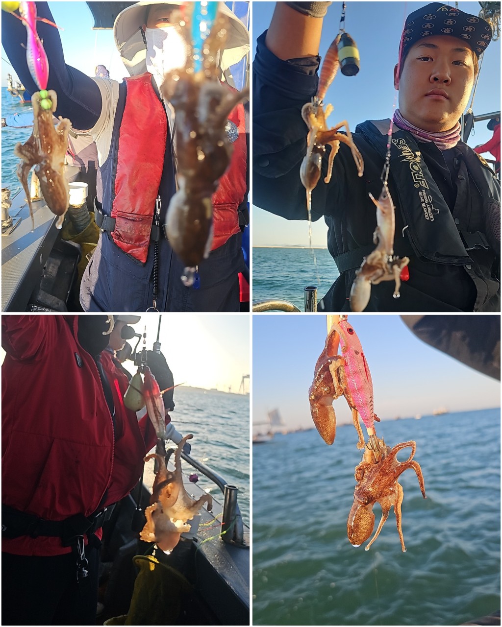 9월 20일 선상낚시 조황 현장 사진 6