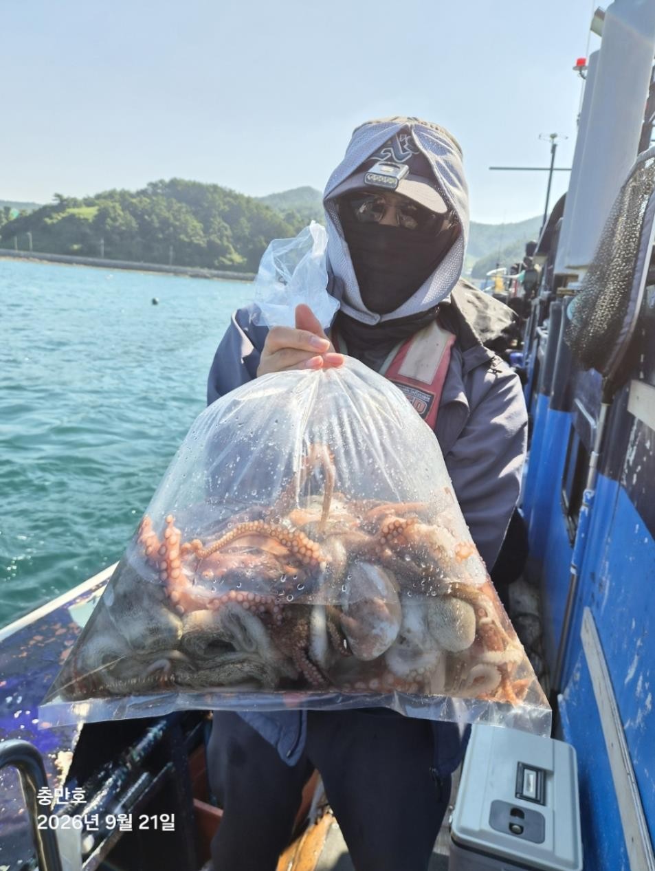 9월 21일 갑오징어 선상낚시 조황 현장 사진 6
