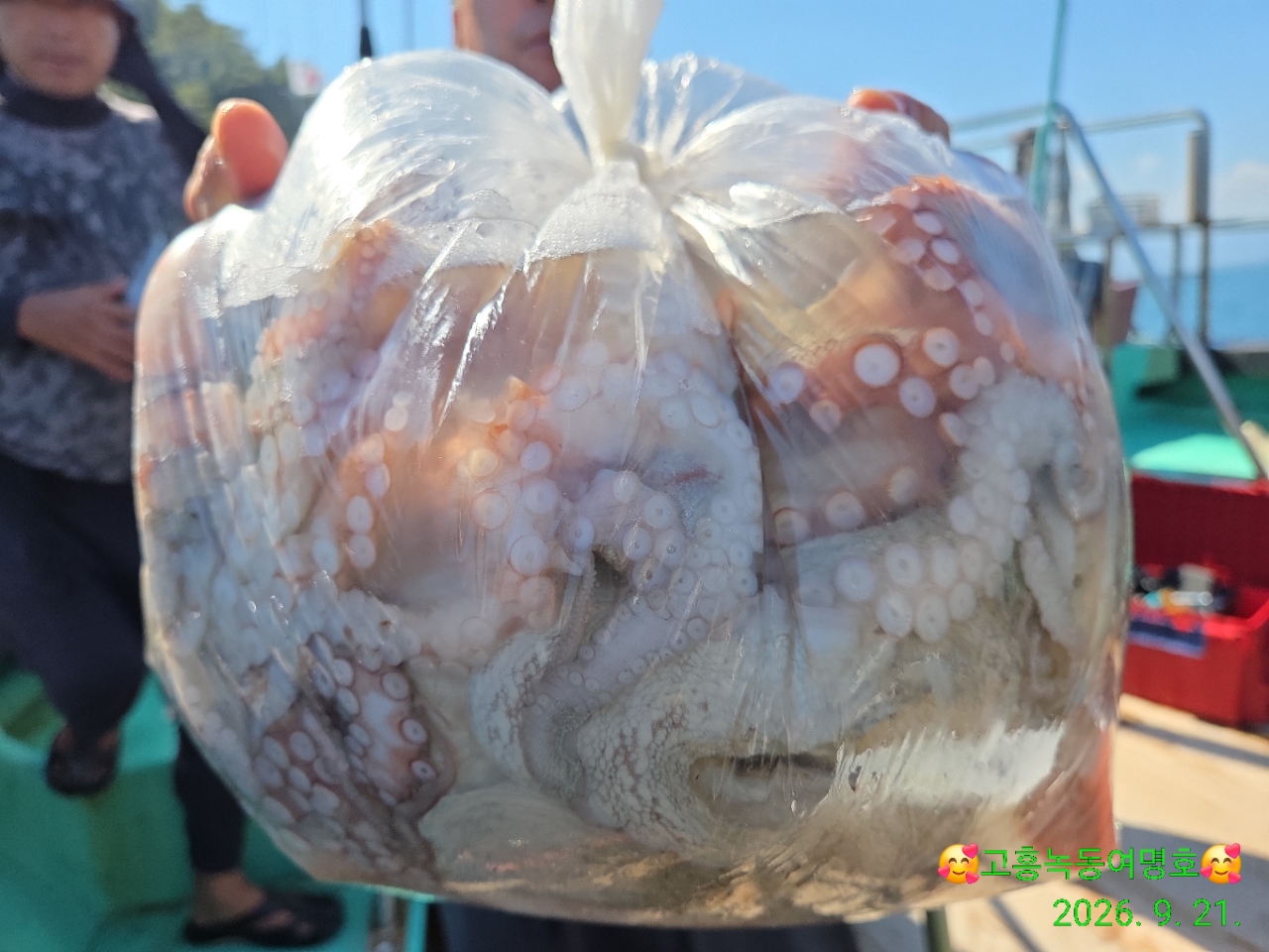9월 21일 고흥 문어 선상낚시 조황 현장 사진 5