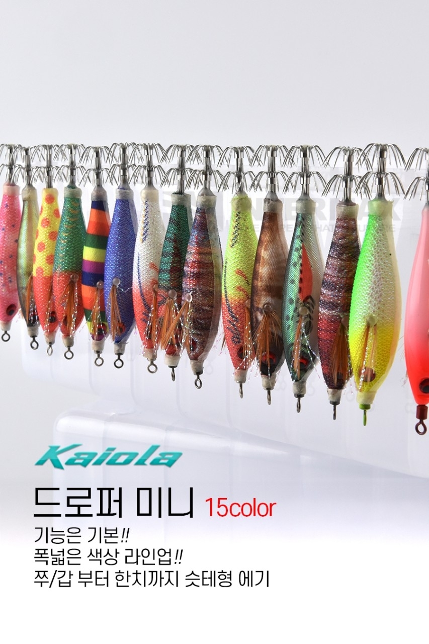 9월 21일 한치 선상낚시 조황 현장 사진 1