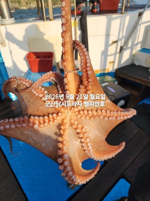 9월 21일 선상낚시 조황 현장 사진 8