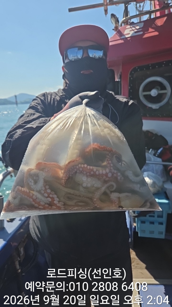9월 20일 고성 문어 선상낚시 조황 현장 사진 26