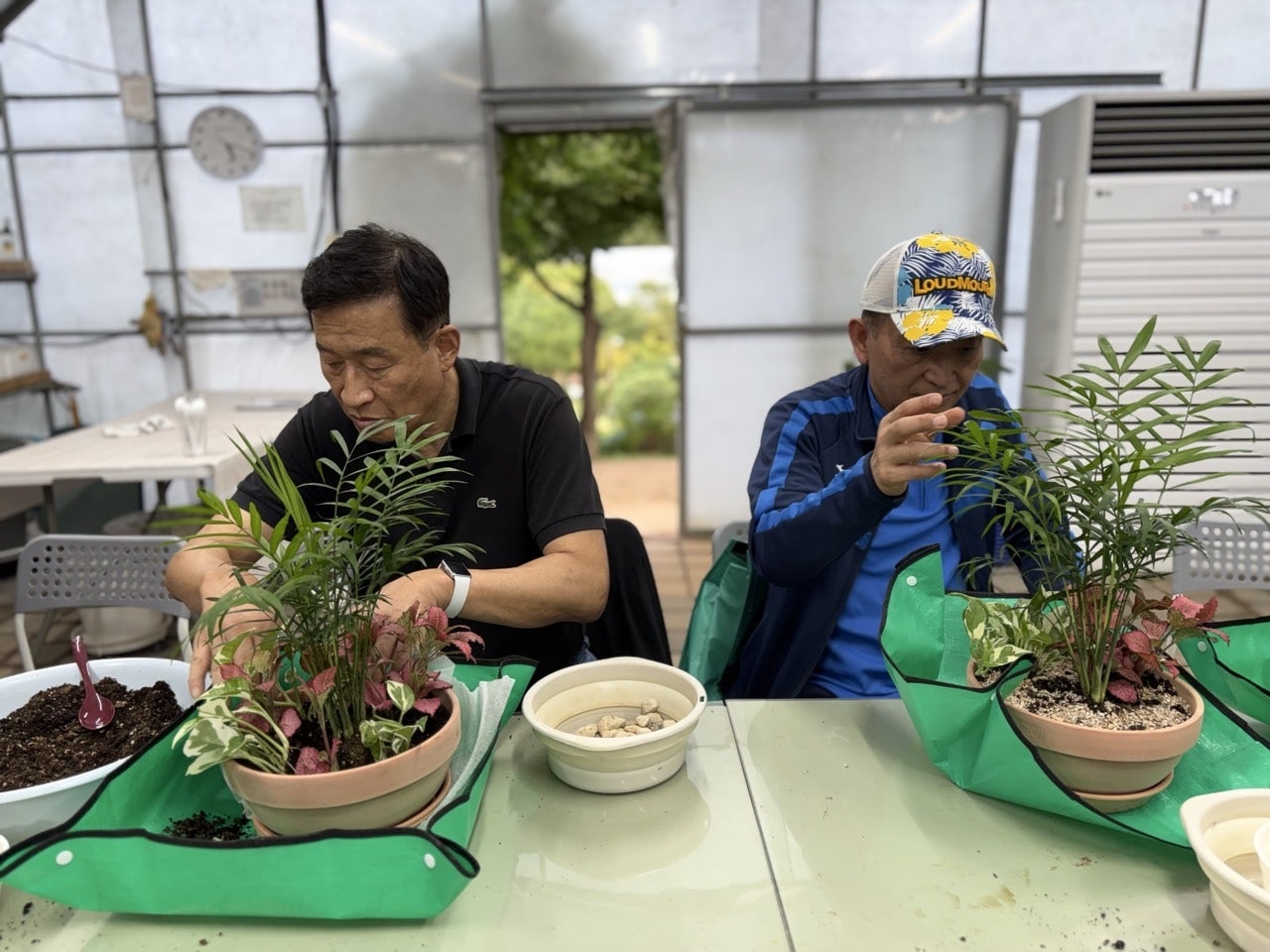 사용자가 올린 이미지