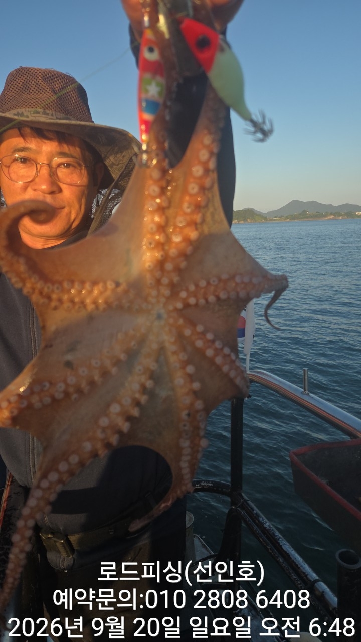 9월 20일 고성 문어 선상낚시 조황 현장 사진 19