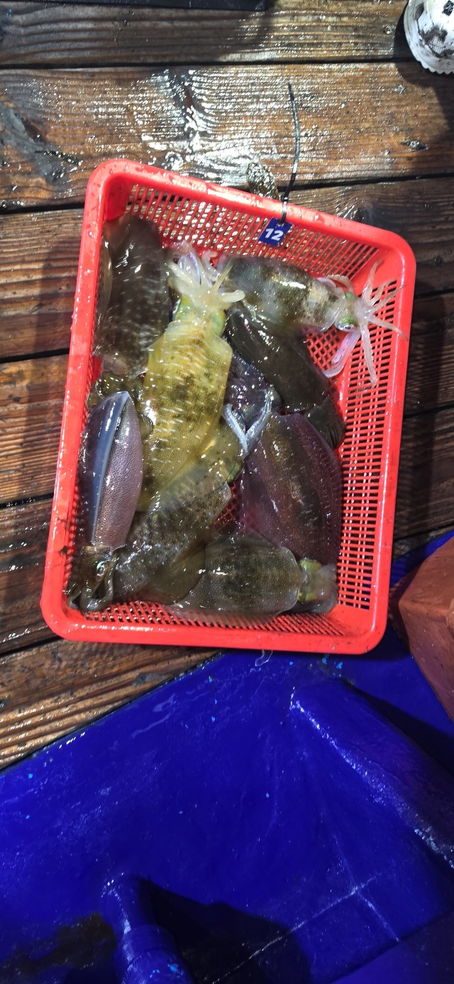 9월 21일 여수 문어 선상낚시 조황 현장 사진 30