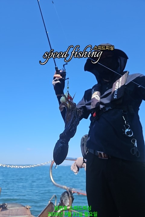 9월 21일 삼천포 문어 선상낚시 조황 현장 사진 3