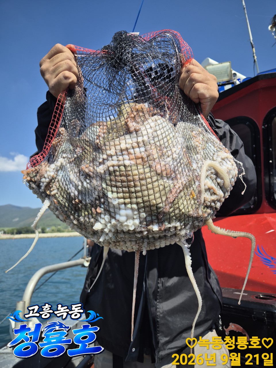 9월 21일 문어 선상낚시 조황 현장 사진 9