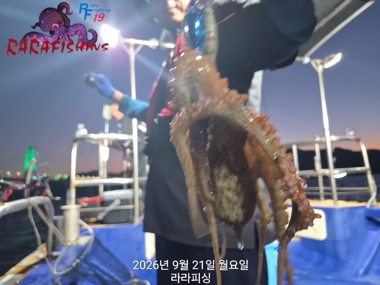 9월 21일 진해 문어 선상낚시 조황 현장 사진 15