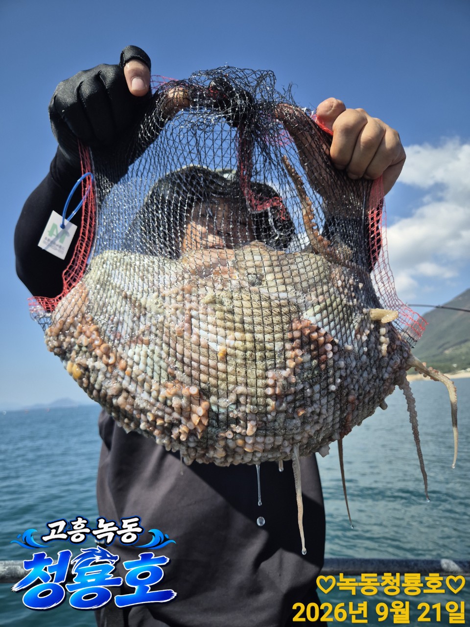 9월 21일 문어 선상낚시 조황 현장 사진 13