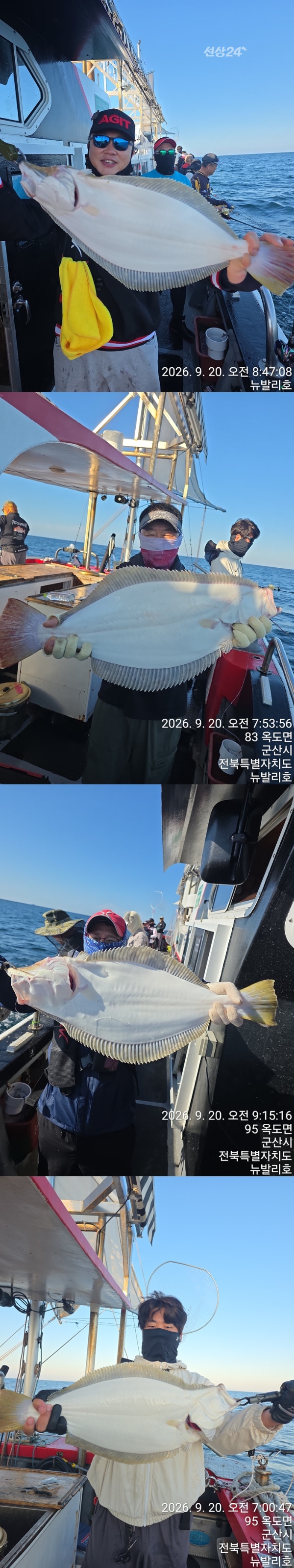9월 21일 군산 갑오징어 선상낚시 조황 현장 사진 5