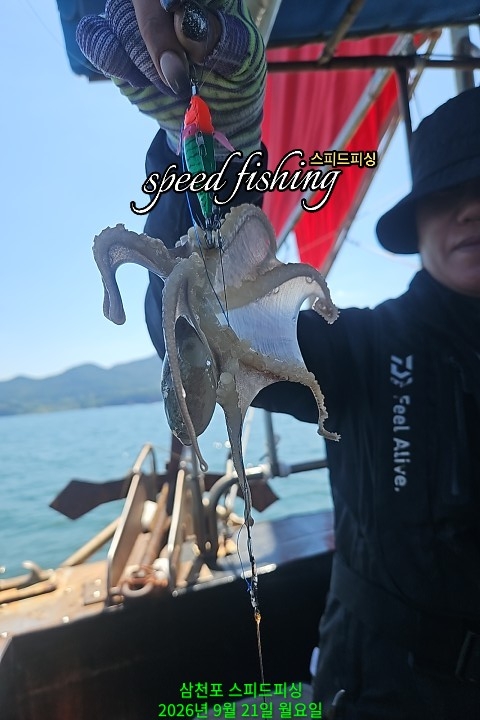 9월 21일 삼천포 문어 선상낚시 조황 현장 사진 7