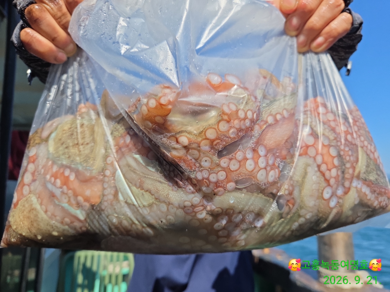 9월 21일 고흥 문어 선상낚시 조황 현장 사진 13