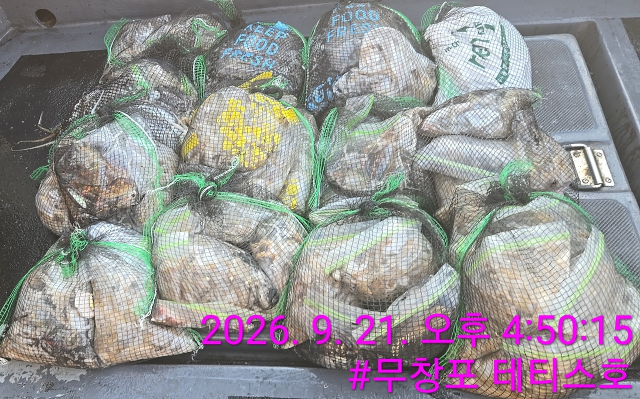 9월 21일 갑오징어 선상낚시 조황 현장 사진 2