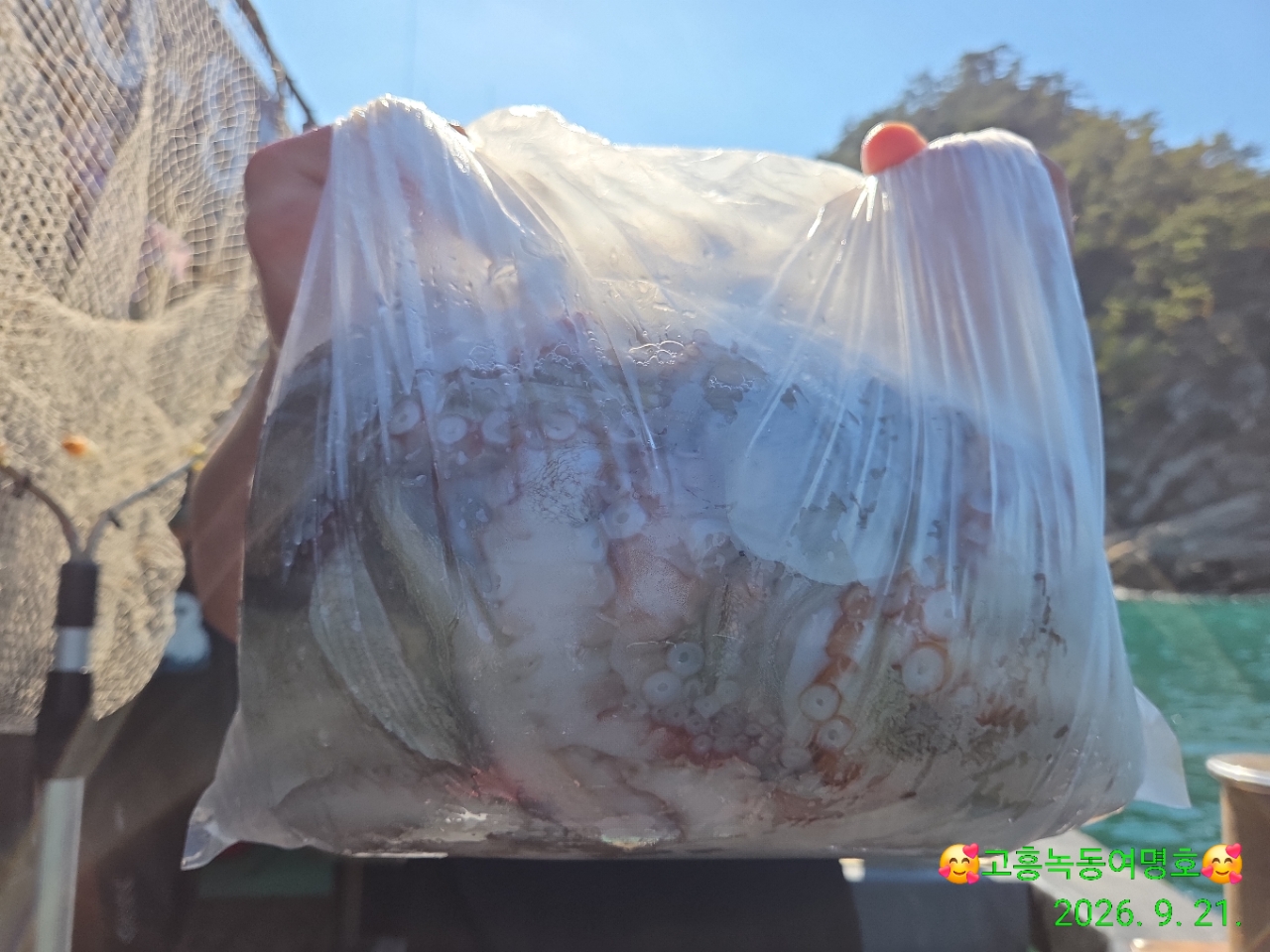 9월 21일 고흥 문어 선상낚시 조황 현장 사진 10