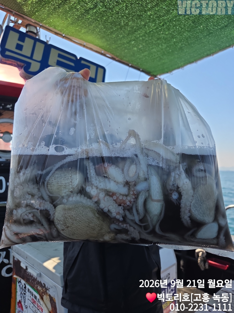 9월 21일 고흥 문어 선상낚시 조황 현장 사진 8