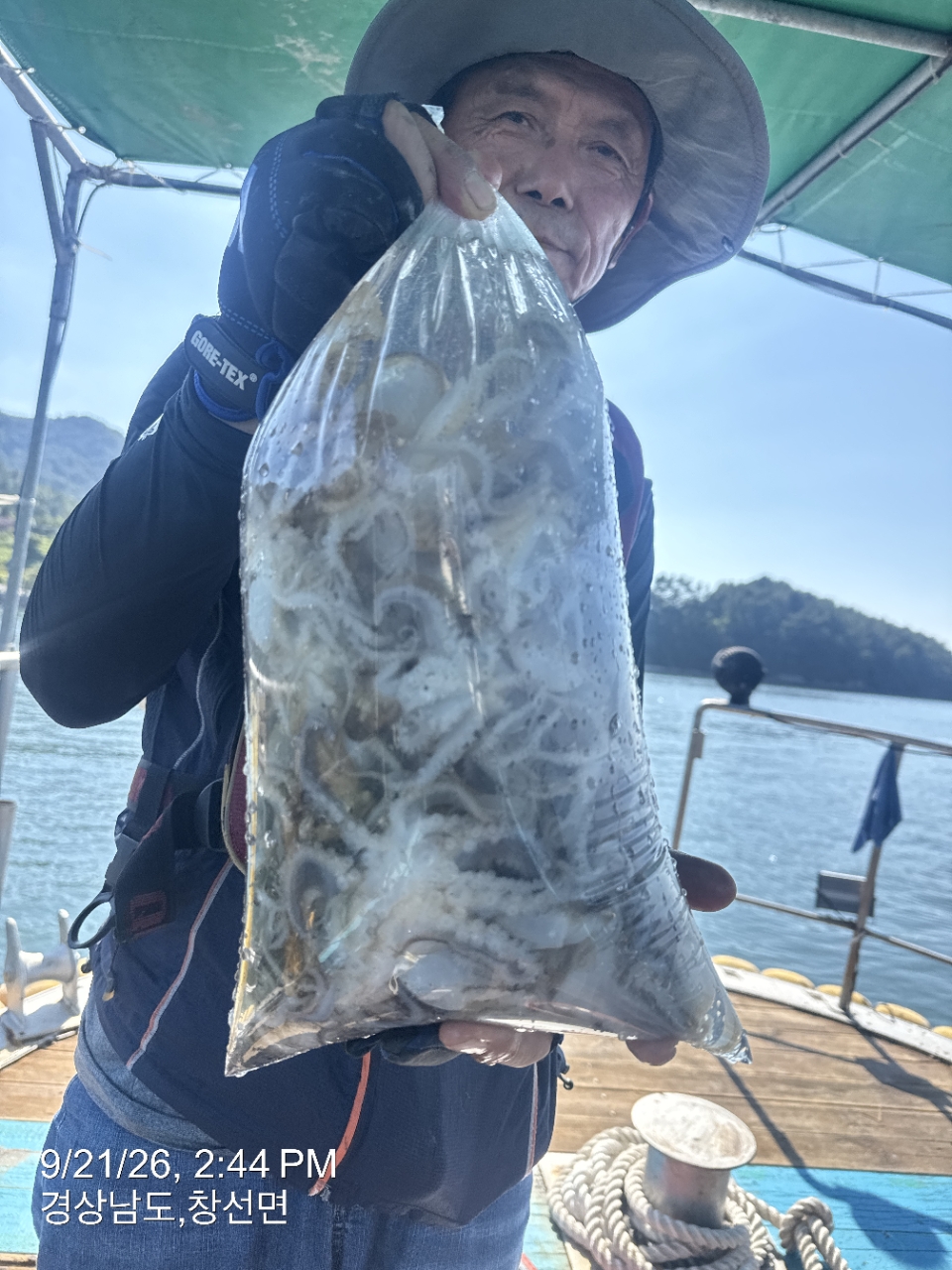 9월 21일 삼천포 갑오징어 선상낚시 조황 현장 사진 12