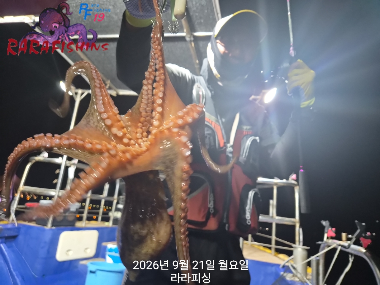 9월 21일 진해 문어 선상낚시 조황 현장 사진 11