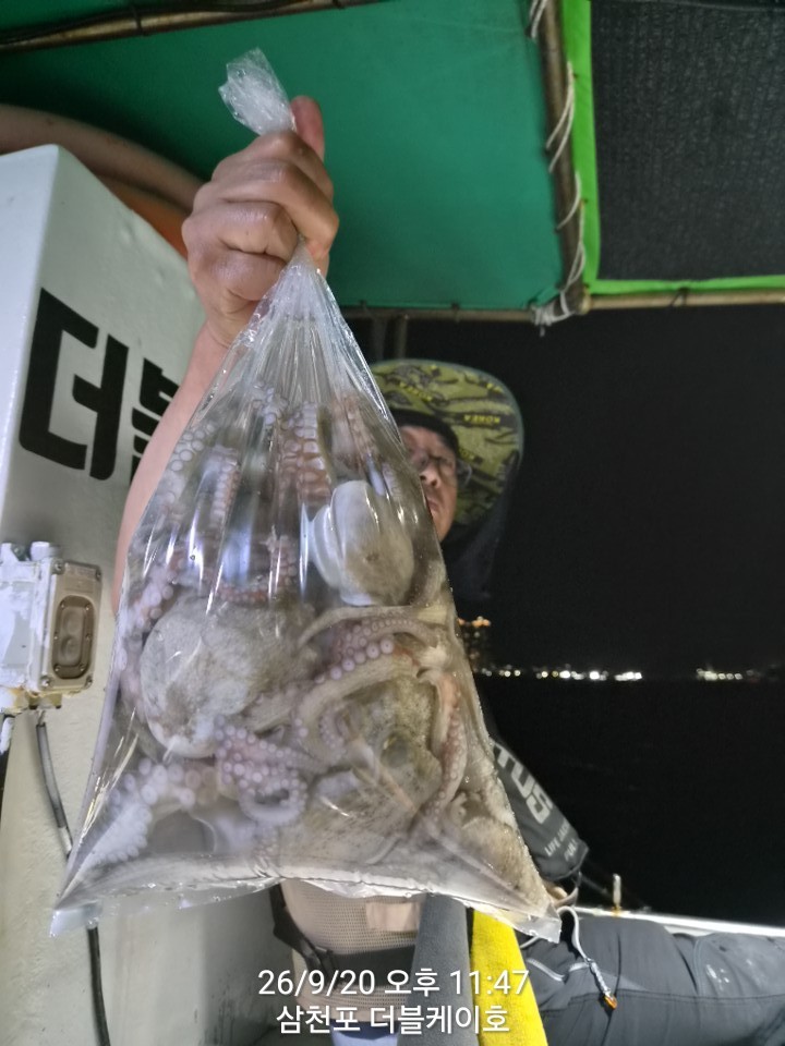 9월 21일 문어 선상낚시 조황 현장 사진 9