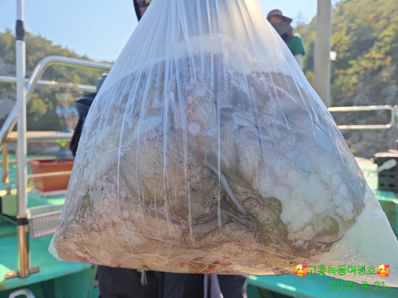 9월 21일 고흥 문어 선상낚시 조황 현장 사진 8