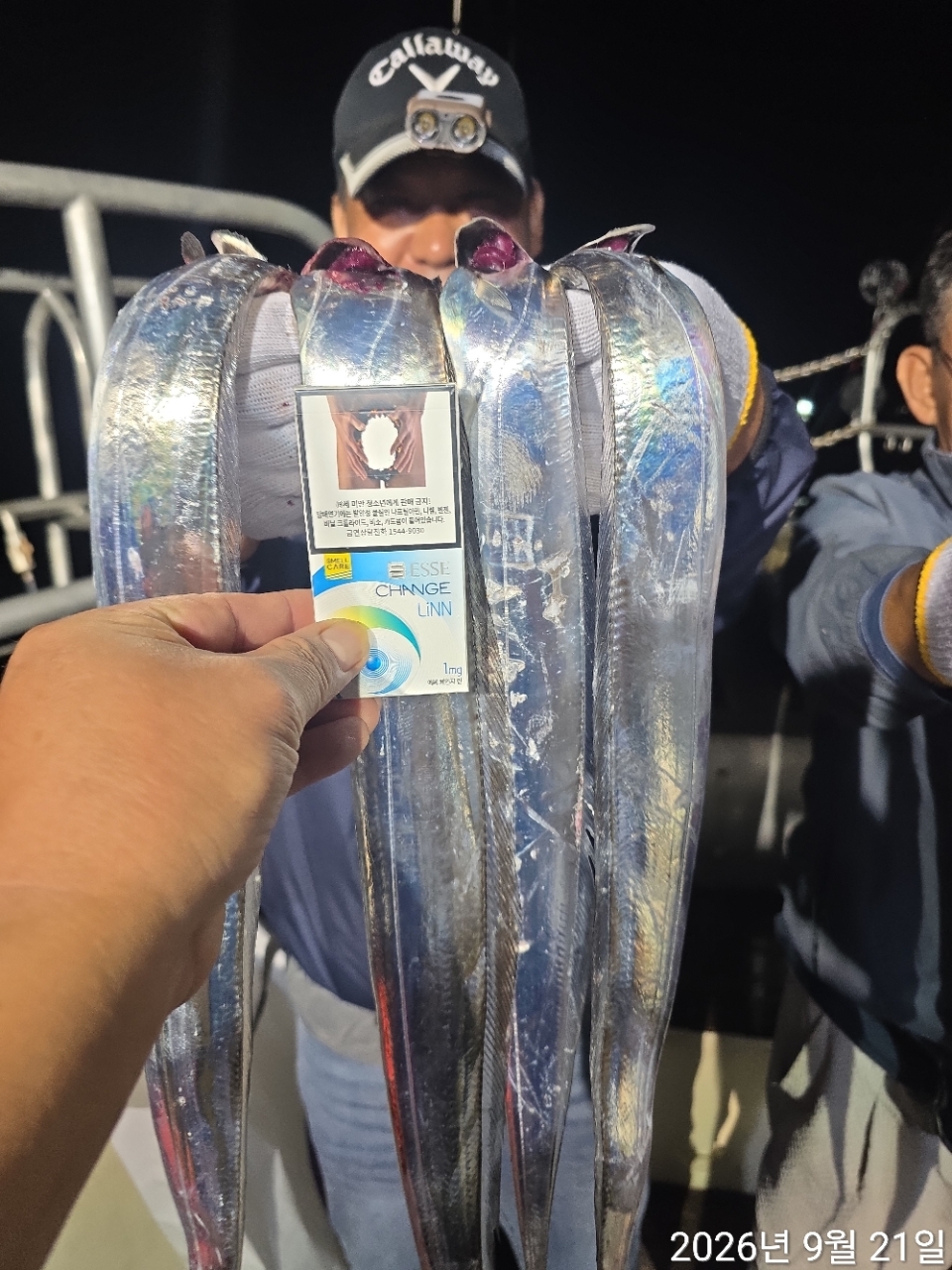 9월 20일 남해 무늬오징어 선상낚시 조황 현장 사진 10